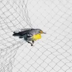 Nylon Multi Bird Net