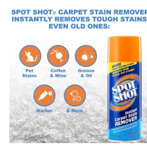 Spot Shot Instant Carpet Stain Remover Aerosol 14 OZ