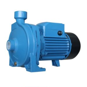 Prakash 1 HP Centrifugal Pump