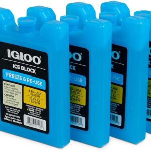 Igloo Maxcold Ice Block,4 Pieces
